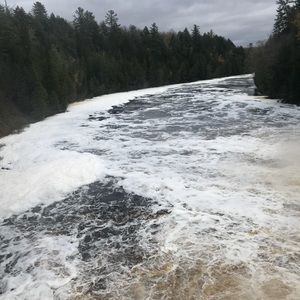 Meet your Posher, Jessie